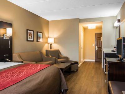 Comfort & Near Six Flags 2* Lithia Springs
